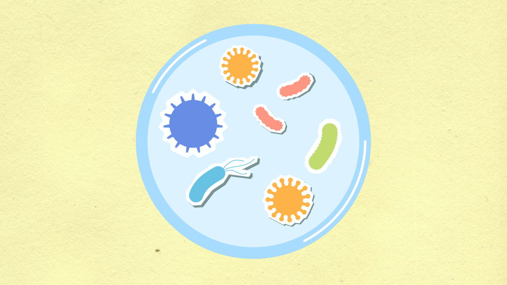 Grotesque Germs